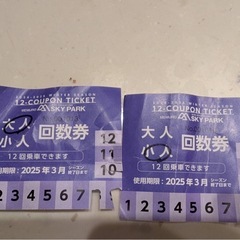 メムロスキー場　回数券