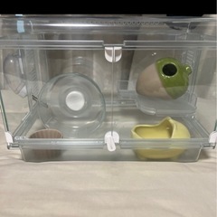 ハムスターの家他の画像
