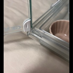 ハムスターの家他の画像