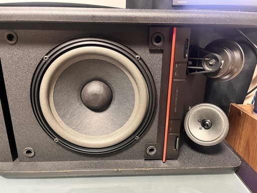 BOSE301-AVM