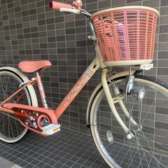 【中古自転車】BRIDGESTONE （ブリヂストン）　エコパル 22インチ　子供向け自転車　美品の画像