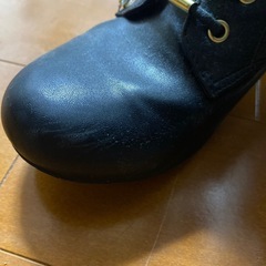 ブーツ21.0の画像