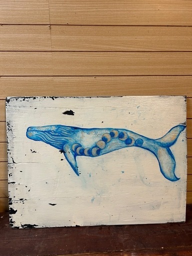 ザトウクジラ