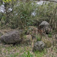 造成用の岩を無料で差し上げます。