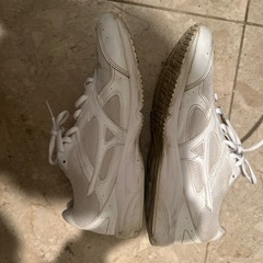ミズノ 靴 スニーカー 白  25.5 記名ありの画像