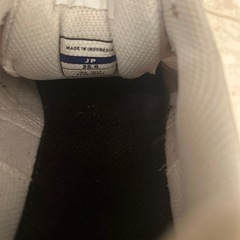 ミズノ 靴 スニーカー 白  25.5 記名ありの画像