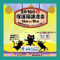 保護猫譲渡会　ネコドル