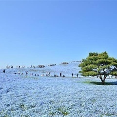 デートに行っても「友達どまり」で終わることが多いあなたへ✨
