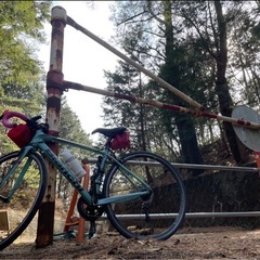 Bianchiロードバイク