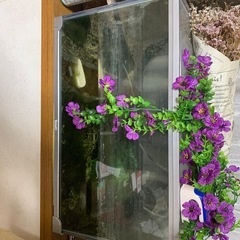 ちょっと大きな水槽