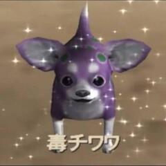 毒チワワってマジで何……？