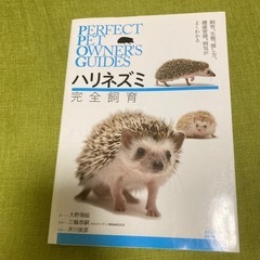 ハリネズミの中古が安い！激安で譲ります・無料であげます