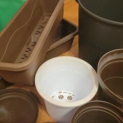 植木鉢、受け皿セットの画像