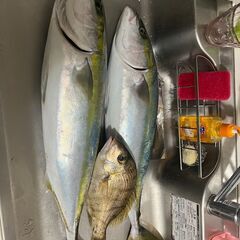 乗り合い船の釣り。 - スポーツ