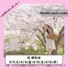 桜撮影会/川崎市王禅寺ふるさと公園