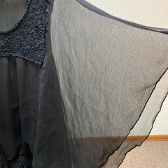 黒シースル　おしゃれ着の画像
