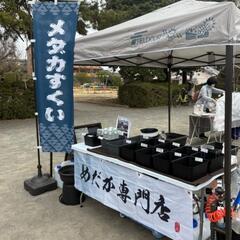 3/16(日)鶴マルシェ(鶴舞公園)・「めだかすくい」＆「プチ生...