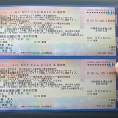 3/16値下げ！ HY SKY Fesチケット2枚