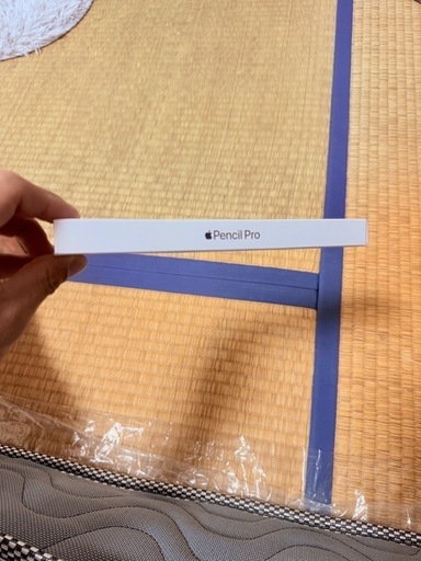 Apple Pencil Pro