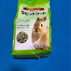 うさぎ　餌とゲージセット