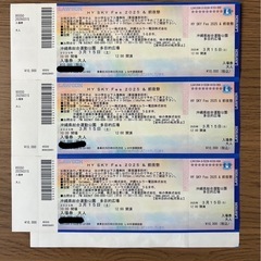 HYスカイフェス　
SKY FES 2025 15日チケット3枚 