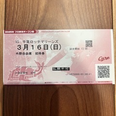 3/16(日)カープVSロッテ　外野自由席　1枚