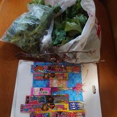 朝採りかき菜と果樹枝、花火セット