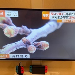 液晶テレビ43v