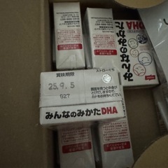 【SALE中】NISSUI みんなのみかた DHA ヨーグルトテイスト 125mL 10本入りの画像