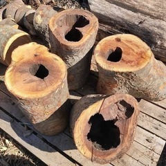 穴の空いた丸太(樹洞)ください
