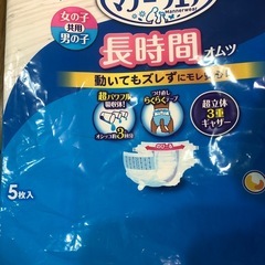大型犬用LL紙オムツ5枚入の画像