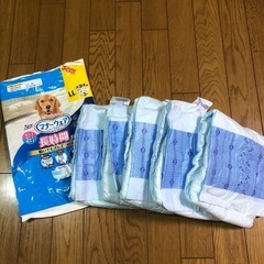 大型犬用LL紙オムツ5枚入