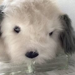大きめの犬のぬいぐるみの画像