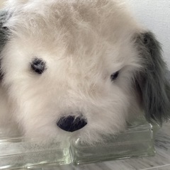 大きめの犬のぬいぐるみ
