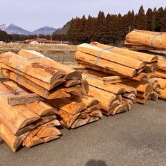 [価格訂正]　薪　杉背甲バタ 
