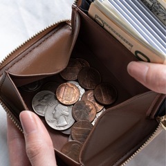 テレビでも紹介された便利な財布／スキミング防止／グレージュ／未使用／ウィメンズの画像