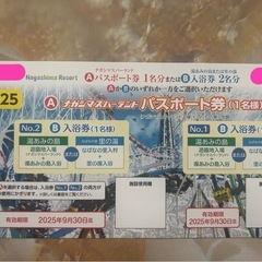 ナガシマスパーランドパスポート
