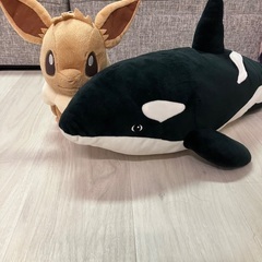 ぬいぐるみ　イーブイ、シャチ