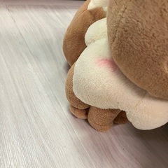 ぬいぐるみ　イーブイ、シャチの画像