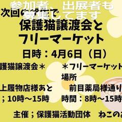 伊佐で保護猫譲渡会&フリーマーケット