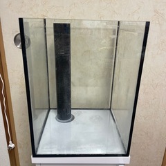 オーバーフロー水槽の画像