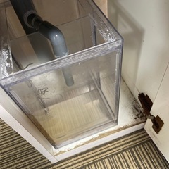 オーバーフロー水槽の画像