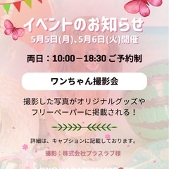 【GW】ドッグバケーション2025 春 ～海とワンコの楽園 ～2025年5月5日(月)･5月6日(火)11:00～17:00 - その他