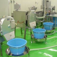 【未経験歓迎】※働きやすい※マイカー通勤可能◎野菜工場でライン作業・選別・仕分け・加工の画像