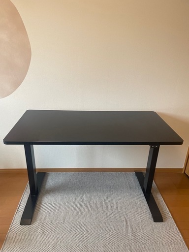 FlexiSpot EC1 電動昇降デスク