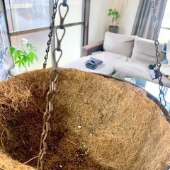 吊り鉢
の画像