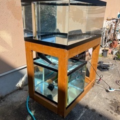 アクリル水槽幅900x奥行600x高さ450
の画像