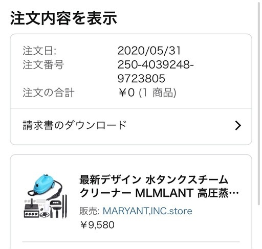 スチームクリーナー