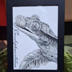 クレステッドゲッコー 色鉛筆画 一点モノ