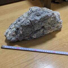 【アクアリウム】龍王石1点 7.4kg【値下交渉可】の画像